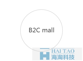 上海网站建设-B2C商城网站建设