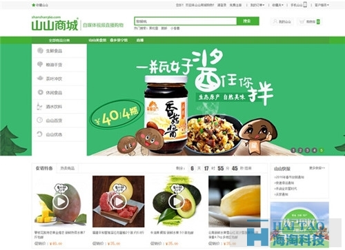 大型网站建设方案（二）