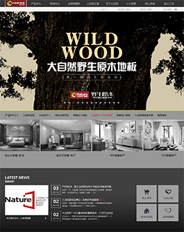大自然家居网站建设页面,上海家居网站设计风格展示,海家居网站建设设计
