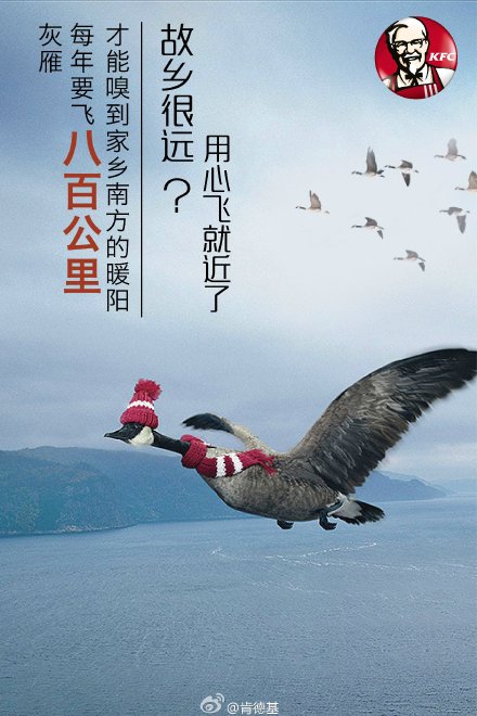 分析了2000张创意海报，找出让你快速掌握做海报的套路